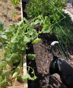 Panacea Products (83712) 46" x 18" A Frame Light Green Trellis 1 14 71AH roLdL