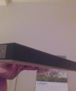 Hermione Granger's Wand with Ollivanders Wand Box 47 71AJ1aeM6bL