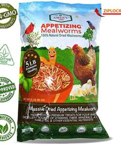 Alternative view of Amzey Appetizing Mealworms 5 LBS- 100% Non-GMO Dried Mealworms - Large Meal Worms - High Protein Treats- Perfect Mealworm for Chickens, Ducks, Turtles, Blue Birds, Lizards - Bag of Mealworms 5 LBS Seafood