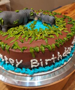 Food Coloring Set - 12 Food Grade Vibrant Food Dye Cherrysea Tasteless Liquid Color for Cake Decorating, Baking, Easter Egg, Icing, Fondant, Cooking, Slime Making DIY Supplies Kit - 0.35 Fl. oz (10 ml)/Bottles 0.35 Fl Oz (Pack of 12) 30 71ALUb88rQL