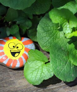 Creativity For Kids Hide and Seek Rock Painting Kit - Arts and Crafts for Kids Ages 6-8+, Gifts for Kids, Craft Kit with 10 Rocks and Waterproof Paint, Small Original 36 71ALwvEMPuL