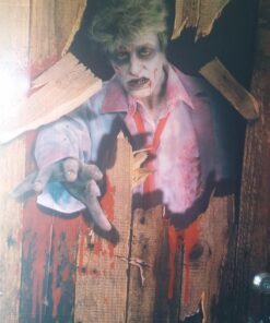 Forum Novelties Photo-Realistic Zombie Door Cover, Multicolor 20 71AO6G EwlL