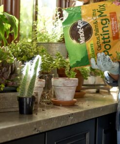 Miracle-Gro Cactus, Palm & Citrus Soil - For Containers , Added Fertilizer Feeds for 6 Months, 8 qt. Potting Mix 23 71ARQh5u5YL
