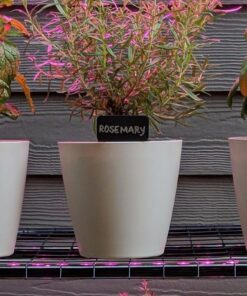 Prudance® 50pcs T Tag Plant Markers - Premium Nursery Garden Labels - Black 27 71ASWRhP1gL