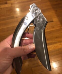 Kuhn Rikon Epicurean Garlic Press, Stainless Steel, 6.5 x 1 x 1.5 inches, Silver 36 71AXg0lCisL