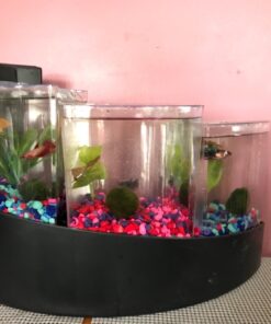 Aqueon Betta Falls 3 Section Aquarium Fish Tank With QuietFlow Power Filtration, Black 70 71AbDUWeN2L