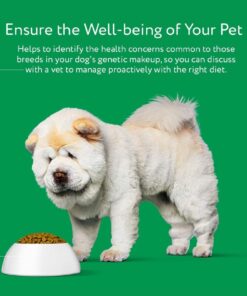 Dna My Dog Essential Test –Breed ID Test Mixed Breed Identification, Personality Traits, for Puppies to Adult Dogs, Non-Invasive Cheek Swab 28 71Ads4XXgfL