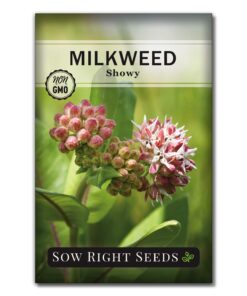 Sow Right Seeds - Milkweed Variety Seed Collection - Includes Butterfly, Common, and Showy Milkweed - Attract Monarchs and Other Butterflies to Your Garden - Non-GMO Heirloom Seeds 17 71AegGLXHQL