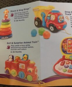 VTech Lil' Critters Spin and Discover Ferris Wheels, Pink (Amazon Exclusive) 38 71AfTCRJeKL