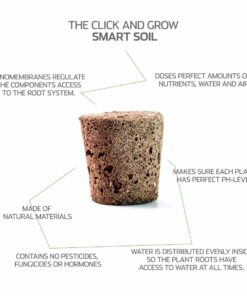 Click and Grow SGR24x3 Smart Garden Wild Strawberry Plant Pods, 3-Pack 23 71AfpMiViL