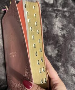 KJV Holy Bible, Giant Print Full-size Faux Leather Red Letter Edition - Thumb Index & Ribbon Marker, King James Version, Pink Leather Bound 68 71AiECdz5L 1