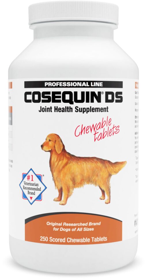 Nutramax Cosequin DS Joint Health Supplement for Dogs - With Glucosamine and Chondroitin, 250 Chewable Tablets 250 Count