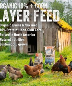 Alternative view of Scratch and Peck Feeds Organic Layer Chicken Feed with Corn for Chickens and Ducks - 25-lbs - Non-GMO Project Verified, Always Soy Free - 1004-25