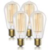 Vintage Incandescent Edison Light Bulbs 60W (4 Pack)- E26/E27 Base 2100K Dimmable Decorative Lightbulbs for Outdoor and Indoor - ST64 Style Warm Light - Antique Squirrel Filament 4 Count (Pack of 1) Squirrel Filament - Clear Glass 14 71Al cbTsJL