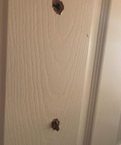 Crosman Vigilante 357 Co2 Air Pistol Kit with Holster and 3-Pack of Magazines 46 71Al5E3X39L