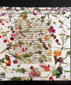 Prince and the Revolution - Purple Rain 8 71AlfkIeUeL