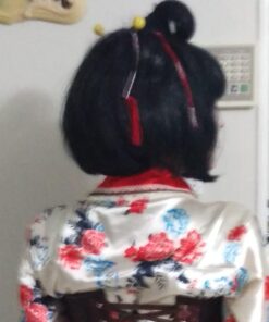 Rubie's Asian Lady Wig, Black, One Size 25 71AlrknqQKL