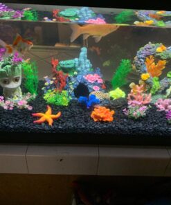 Exotic Environments Caribbean Living Reef Aquarium Ornament, Small , 7-1/2-Inch by 5-1/2-Inch by 5-1/2-Inch Small, 7.5" X 5.5" X 5.5" 12 71AltmnTrzL