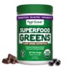 Organic Superfood Greens Powder - Cocoa Chocolate | Super Greens Fruit & Vegetable Supplement | Over 20 Greens, Fruits & Veggies, Fiber, Probiotics & Digestive Enzymes | 30 servings Superfood Cacao Greens Powder