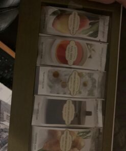 Tea Forte Single Steeps Loose Leaf Tea Sampler, Assorted Variety Box, Single Serve Pouches (Assorted - Tea Tasting), 15 Count (Pack of 1) 33 71Amf9fXt6L