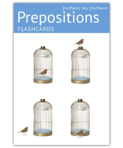 Picture My Picture Prepositions Flash Cards | 40 Positional Language Development Educational Photo Cards | Speech Therapy Materials, ESL Materials