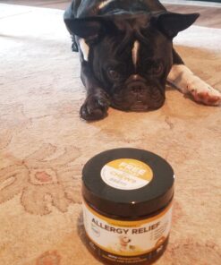 Pet Honesty Dog Allergy Relief Immunity - Chews, Probiotics for Dogs, Seasonal Allergies, Skin and Coat Supplement, Itch Support Supplement (Salmon) Salmon Single 38 71AtOXGRbrL