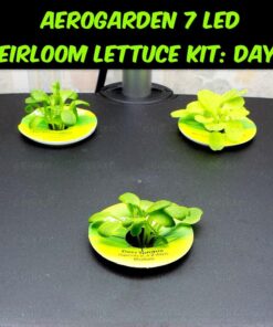 AeroGarden Heirloom Salad Greens Mix Seed Pod Kit - Salad Kit for AeroGarden Indoor Garden, 7-Pod 32 71AuIGIay8L