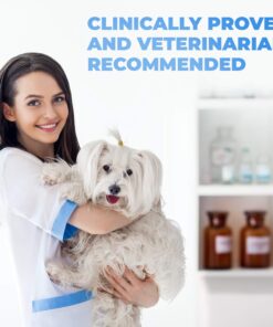 Forticept Maxi-Wash Hot Spot Treatment, Wound Care & Itch Relief Spray for Dogs and Cats. Relives Scratching, Rashes, Sores, Itchy Skin and Paw Licking 8 oz 8 Fl Oz (Pack of 1) 17 71Aued0k19L 1