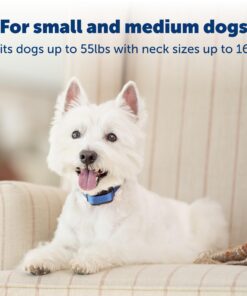 PetSafe Elite Little Dog Spray Bark Collar for Small Dogs from 8 lbs to 55 lbs - Smallest Collar Option - Citronella Spray - No Barking Control Device - PBC00-11283 adjustable 19 71Avlb6l8sL