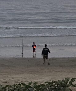 GlowCity Glow in The Dark Football - Light Up LED Ball - Perfect for Evening Play, Camping, and Beach Fun! Adult 10" 35 71AwPI20IpL