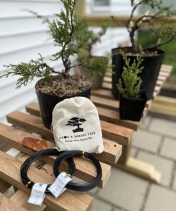 Anodized Aluminum Bonsai Training Wire 5-Size Starter Set with Canvas Bag - 1.0mm, 1.5mm, 2.0mm, 2.5mm, 3.0mm (147 feet total) - Choose Your Color (5 Sizes, Black) 5 Sizes 28 71Axe3HQeLL