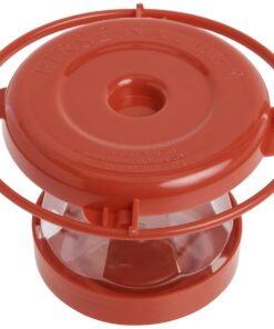 First Nature 993091-546 16 oz. Hummingbird Flower Feeder 18 71Ay5C2q4AL