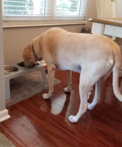 PetFusion Elevated Dog Bowls in Premium Anodized Aluminum Stand (Tall 8"). 2 US FOOD GRADE Stainless Steel 56oz bowls, Metallic Gray Tall - 8" 30 71B txaXL