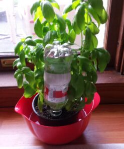 Blumat Bottle Adapter (3 Pack): Self Watering Spikes/Houseplant Watering Stakes, Automatic Irrigation System, Use When On Vacation,Terracotta Spikes to use with Recycled Plastic Water Bottles (3 Pack) 23 71B02d8UqAL