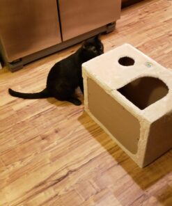 Go Pet Club Cat Tree, 50W x 26L x 72H, Beige 54 71B0ZSKi1lL