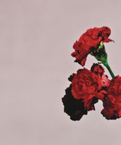 Love In The Future Love In The Future