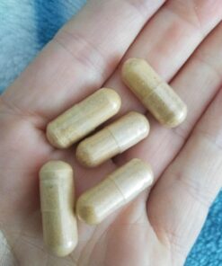 Garden of Life Raw B Complex - Vitamin Code - 60 Vegan Capsules, High Potency Vitamins for Energy & Metabolism with B2 Riboflavin, B1, B3, B6, Folate, B12 as Methylcobalamin & Biotin Plus Probiotics Unflavored 60 Count (Pack of 1) 28 71B37UCrjL