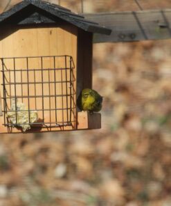 Wagner's 62012 Southern Regional Blend Wild Bird Food, 20-Pound Bag 37 71B3nVPj07L