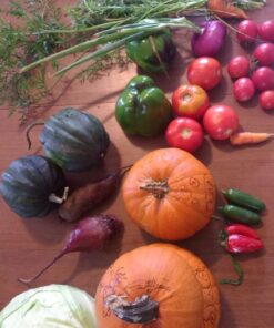 Heirloom Vegetable Seeds Non GMO Survival Seed Kit - Part of Our Legacy and Heritage - 50 Varieties 100% Naturally Grown- Best for Gardeners Who Raise Their Own Healthy Food 1 48 71B4WMrbbGL