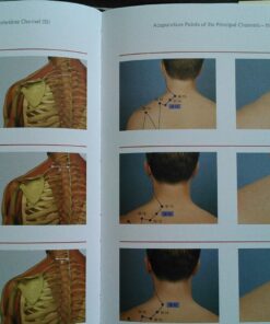 Pictorial Atlas of Acupuncture: An Illustrated Manual of Acupuncture Points 15 71BBfRmJngL