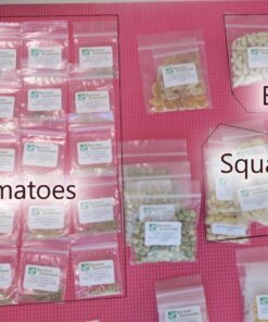 Heirloom Seeds for Planting Vegetables and Fruits - Survival Essentials 135 Variety Seed Vault - Medicinal Herb Seeds - Grow Healthy Non-GMO Food 47 71BDKoLYmCL