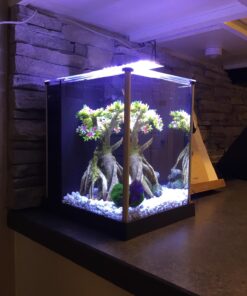 Fluval SPEC Freshwater Aquarium Kit, Aquarium with LED Lighting and 3-Stage Filtration, 2.6 Gallon, Black, Large Breeds 2.6 Gal. 63 71BE8yEUoL