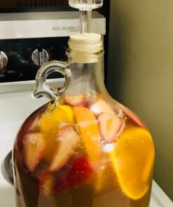 FastRack Stopper/Airlock 1 Gallon Glass Fermenter/Jug, Clear 1 Count (Pack of 1) 37 71BEATM5v6L