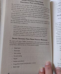 Deliverance and Spiritual Warfare Manual: A Comprehensive Guide to Living Free Paperback 23 71BEEKvfxwL