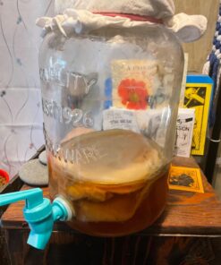 Alternative view of Poseymom Double Pack Kombucha Scobies and Starter Tea | (No Vinegar or Artificial Flavors Added) (Make 1/2 Gallon (1/2Cup Starter)Each