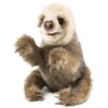 Folkmanis Baby Sloth Hand Puppet Classic 3 71BFenVZvbL
