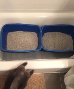 Pureness Giant Cat Litter Pan, Assorted Colors 36 71BM6eMUkBL