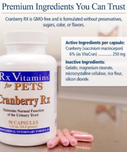 Rx Vitamins Cranberry Pills for Dogs - Cat Urinary Tract Medicine Support - UTI Treatment for Pets - Dog & Cat Urinary Relief Aid - 90 Cap. 10 71BMRnyCHoL