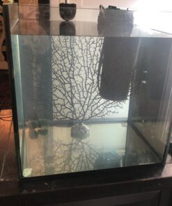 SciencePurchase 10.5" Black Fish Tank Aquarium Decoration, Sea Coral Ornament (Black, Sea Fan 10.5") 17 71BOtWx38pL