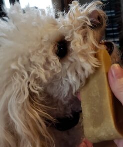 Himalayan Dog Chew Original Yak Cheese Dog Chews, 100% Natural, Long Lasting, Gluten Free, Healthy & Safe Dog Treats, Lactose & Grain Free, Protein Rich, Mixed Sizes, Dogs 65 Lbs & Smaller Yak Cheese - 3 sticks 3 Count (Pack of 1) 53 71BQbcDw7jL